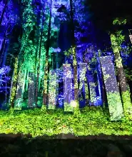 群馬縣Chibam Land燈光剪紙夜行門票