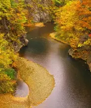 【1人成團】2026札幌出發：定山溪紅葉＆豐平峽電氣巴士＆余市NITORI觀光果園採果＆田中酒造亀甲蔵清酒試飲＆小樽運河一日遊