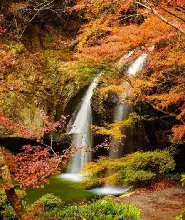 【東京銀座出發】2026茨城袋田瀑布＆月待瀑布＆花貫溪谷賞楓一日遊（20人成團）