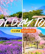 【1人成團】2026東京出發：新倉山淺間公園&忍野八海&河口湖大石公園/楓葉迴廊&西湖療癒之雷根場富士山一日遊