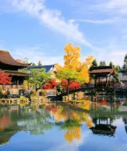 【名古屋往返】2026虎溪山永保寺&四季櫻&香嵐溪賞楓&蒲郡採果體驗&豊川稻荷看千狐石&三井Outlet岡崎購物一日遊