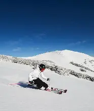 墨爾本出發| 布勒山雪地一日遊