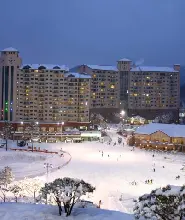 橡谷度假村高山滑雪之旅 | 小組課程與票務與交通