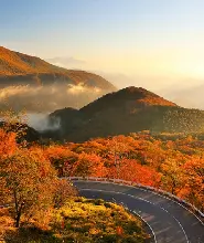 【東京出發】2026日光世界遺產&東照宮&48彎山路風景&中禪寺湖一日遊（6人成團）