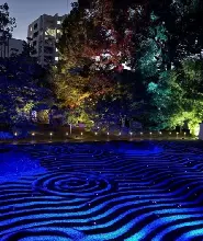 2026.10.31-11.3博多古街點燈漫步2026千禧閃耀之夜門票