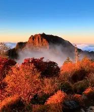 釜山出發| 智異山秋季秘境之旅：森林步道、溪谷美景與泉隱寺一日遊