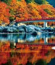 【東京出發】秋葉賞楓兩日遊：香嵐溪峽谷&原四季櫻&龍丹寺&著名賞楓勝地奧尾湖站