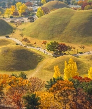 釜山出發| 慶州賞楓一日遊：普門觀光區與慶州歷史城區