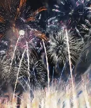 【新宿出發】2026.9.26茨城大洗海上花火&常陸海濱公園療癒掃帚草絕景一日遊（含花火門票+座席）