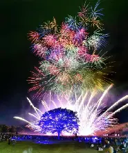 【名古屋出發】2026.10.24長岡煙火萬聖節奇幻之旅二日遊（含花火座席）