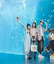 【人氣精選】桃園 Xpark 水族館門票｜日系都會型水生公園・親子自由行熱門之選（贈免費停車）
