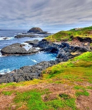 墨爾本出發| 布萊頓彩虹小屋、普芬比利蒸汽小火車、瑪璐無尾熊動物園 & 企鵝歸巢 1 日遊