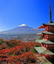 【保證成團】新宿出發：山中湖夕陽遊船&新倉山淺間公園忠靈塔&忍野八海&禦殿場Premium Outlets一日遊