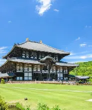 【買一送一】大阪出發：伏見稻荷大社千本鳥居&天龍寺&嵐山竹林&奈良公園餵鹿一日遊
