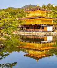 【大阪出發】金閣寺&清水寺&伏見稻荷大社&teamLab光影藝術展一日遊