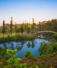 沖繩東南植物樂園：夢幻燈光秀夜間入場券（10.23-2027.5.23）