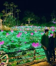 沖繩東南植物樂園：日間+夜間一日券（10.23-2027.5.23）