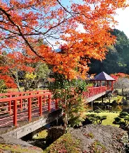 【福岡出發】九重夢大吊橋&九酔渓&渓石園&一目八景紅葉一日遊（中文團）