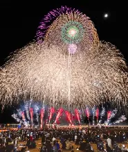 11.21花火甲子園一般區域門票（名古屋）