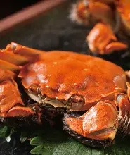澳門十六浦索菲特酒店Mistral海風餐廳自助晚餐