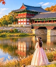 釜山出發| 慶州原汁原味之旅【佛國寺、大陵苑、教村韓屋村、皇利丹路、阿霍普山森林】