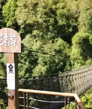 桃園｜拉拉山＆上巴陵＆羅浮溫泉＆恩愛農場 一日遊｜台北 & 桃園 & 新竹 &台中出發