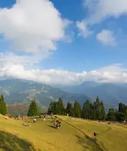 南投清境｜絕美高山景觀公路清境農場合歡山一日遊｜台中出發