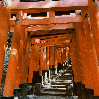 評論圖片