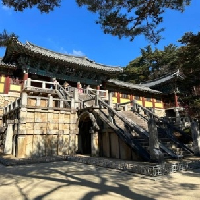 評論圖片