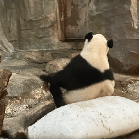 評論圖片