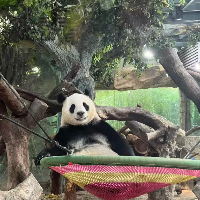 評論圖片