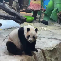 評論圖片
