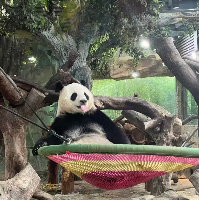 評論圖片