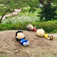 評論圖片
