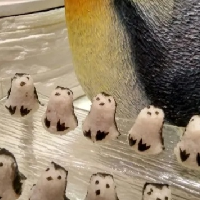 評論圖片