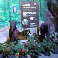 評論圖片