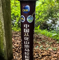 評論圖片