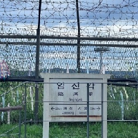 評論圖片