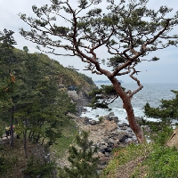 評論圖片