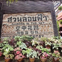 評論圖片