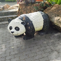 評論圖片