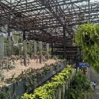評論圖片