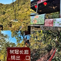 評論圖片