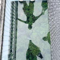 評論圖片