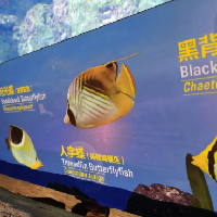 評論圖片