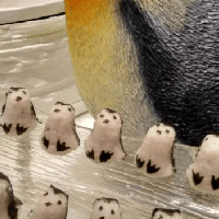 評論圖片