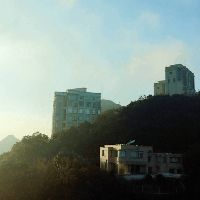 評論圖片