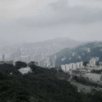 評論圖片