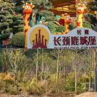 評論圖片