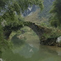 評論圖片